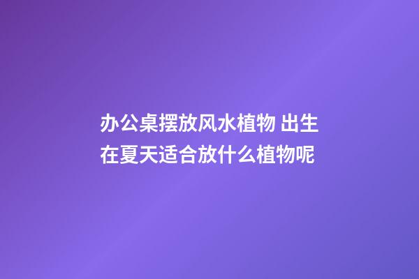 办公桌摆放风水植物 出生在夏天适合放什么植物呢